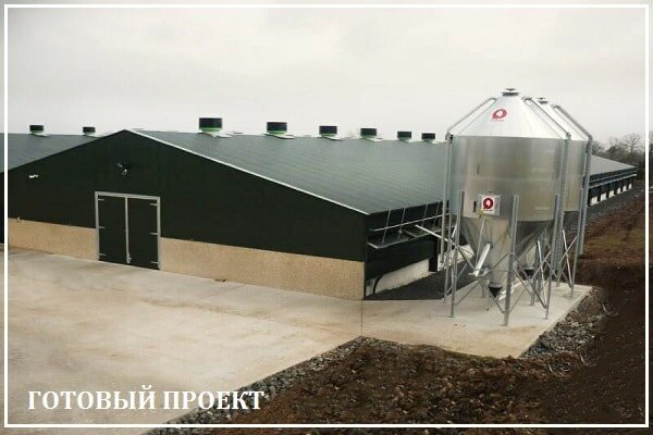 Этапы возведения птицефабрики от завода ВелесТент-крм